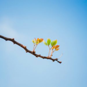 Thought Leadership Byline Thought Leadership Byline